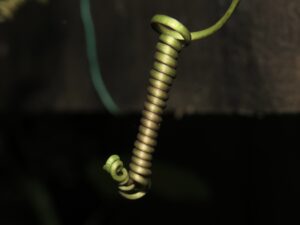 Img 0861