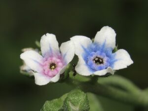 Img 7191