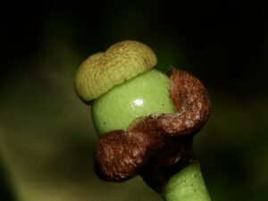 Img 8465
