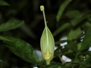 Img 8562